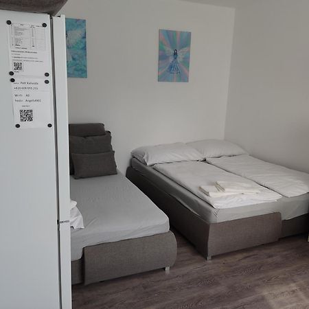 Angel Apartman Nove Mesto nad Metuji Ngoại thất bức ảnh